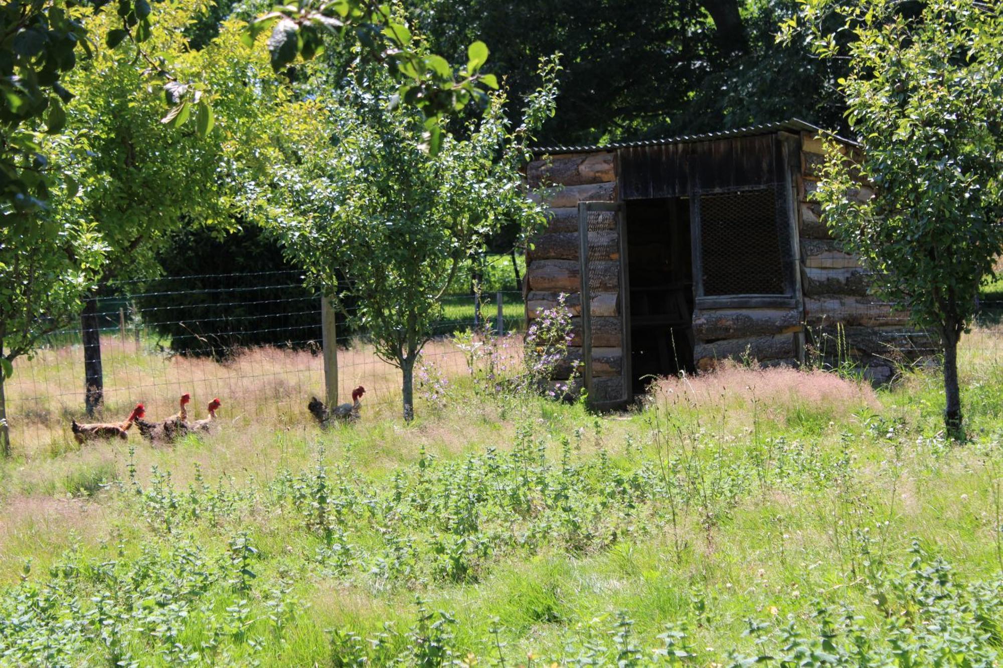 Ecogite Rural La Cle Des Champs Peyrelongue-Abos Ruang foto